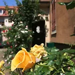 Finala *