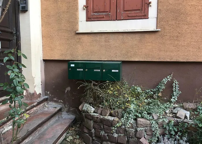 Finala דירה קולמר