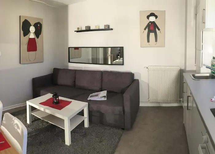 菲纳拉科尔马公寓 公寓 科尔马