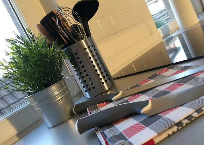 公寓 菲纳拉科尔马公寓 *