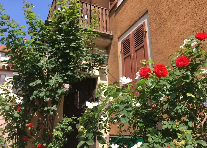 菲纳拉科尔马公寓 公寓