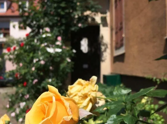 菲纳拉科尔马公寓 *