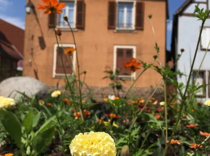 公寓 菲纳拉科尔马公寓 *